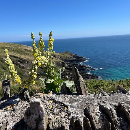 Pilchards Cottage Noss Mayo Εξωτερικό φωτογραφία