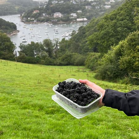Pilchards Cottage Noss Mayo Εξωτερικό φωτογραφία