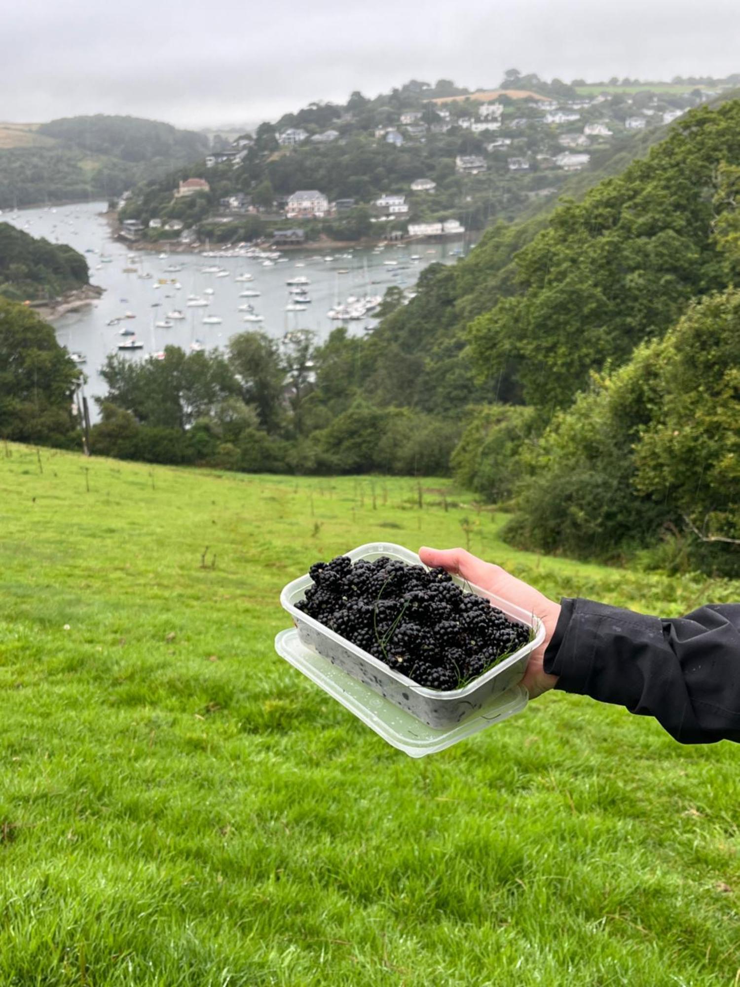 Pilchards Cottage Noss Mayo Εξωτερικό φωτογραφία